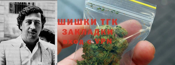 индика Кукмор