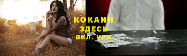индика Кукмор